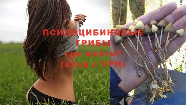 бошки Арсеньев